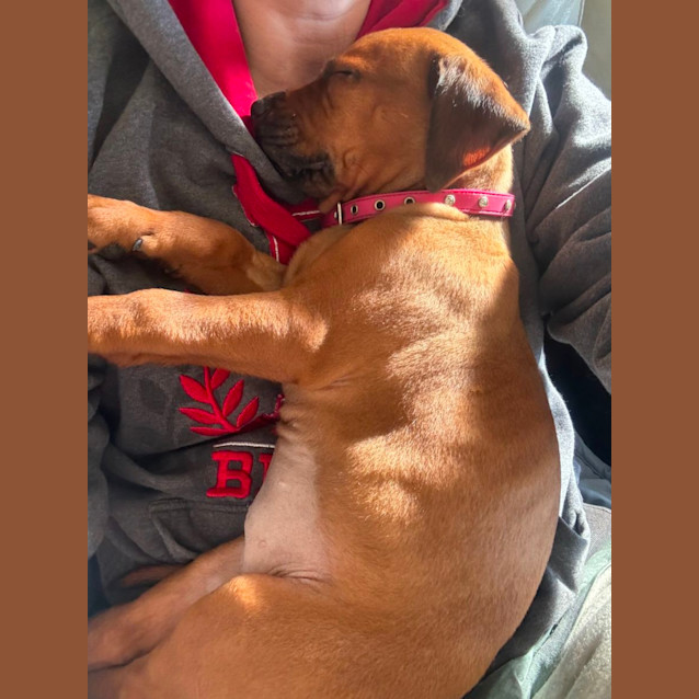 Photo of Rubz
