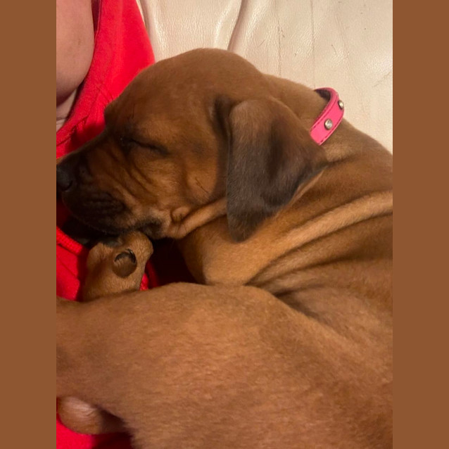 Photo of Rubz