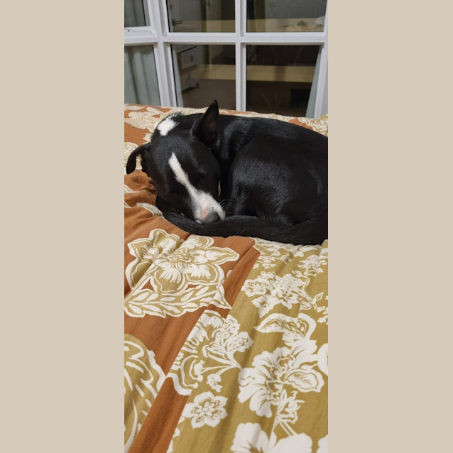 Photo of Frederico