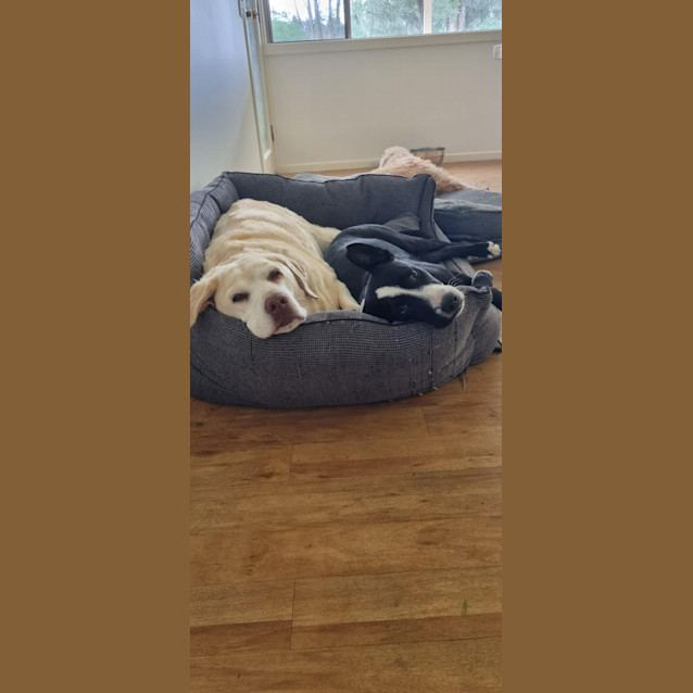 Photo of Frederico