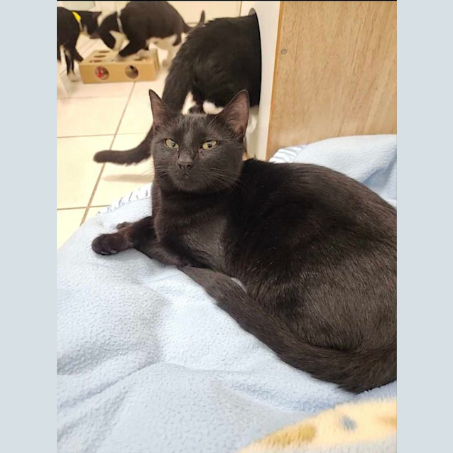 Photo of Freya