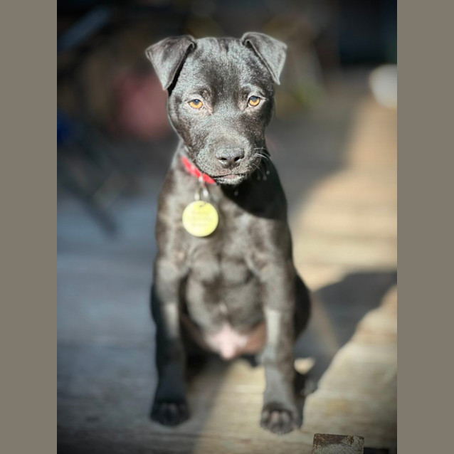 Photo of Fuzzbert