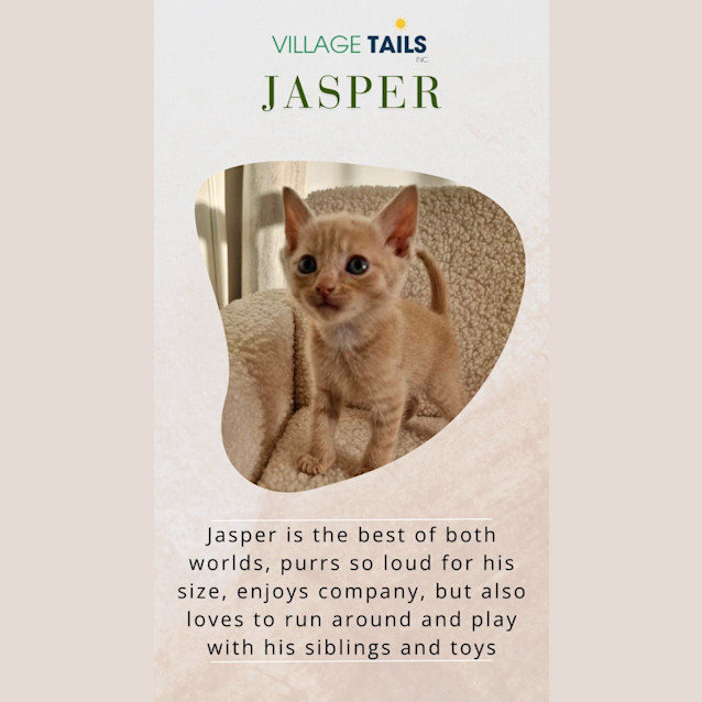 Photo of Jasper