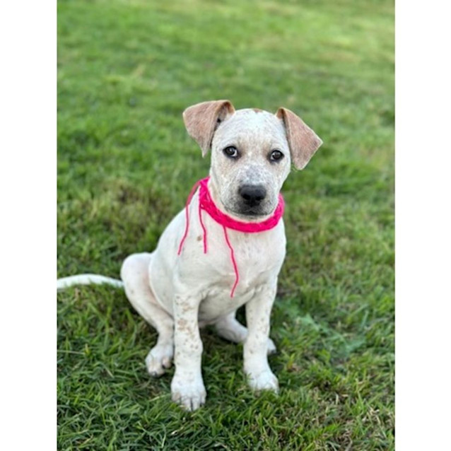 Photo of Winnie