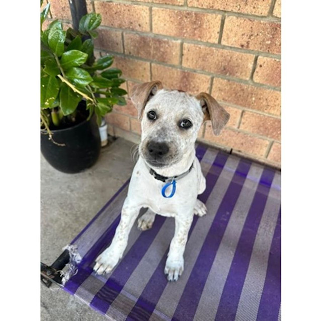 Photo of Winnie