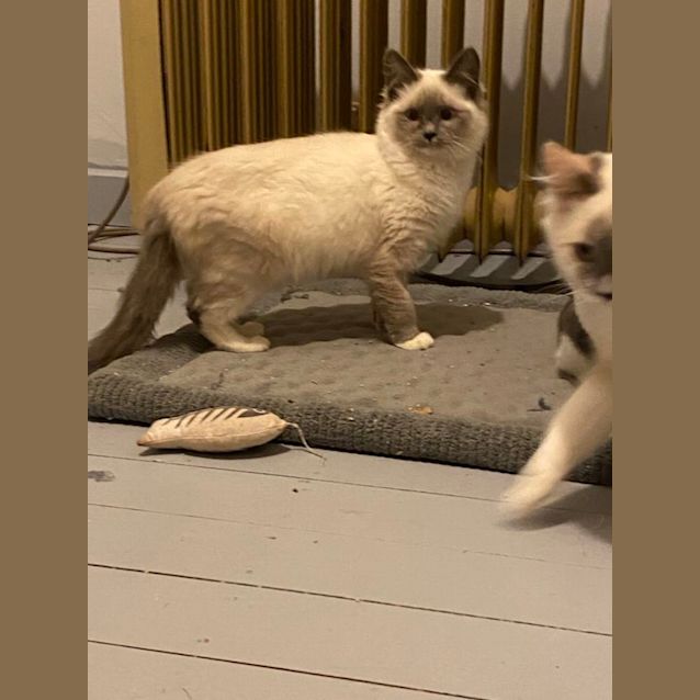Photo of Ella