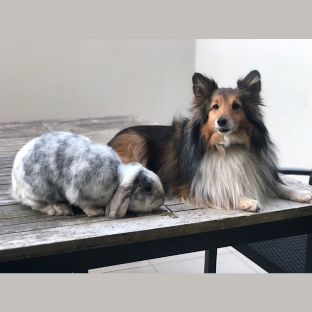 Photo of Max