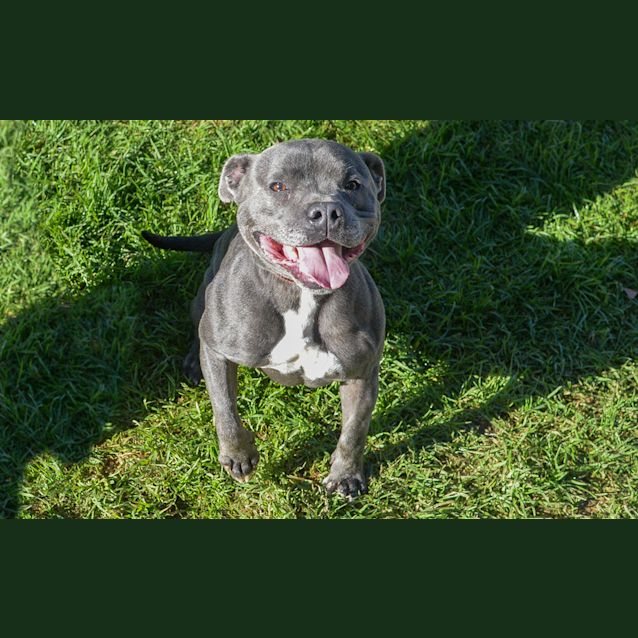 Photo of Kodak
