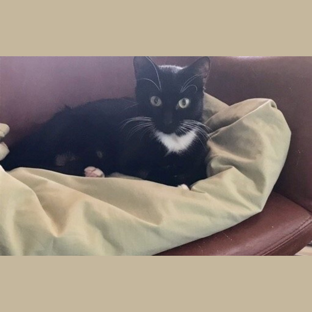 Photo of Tessa