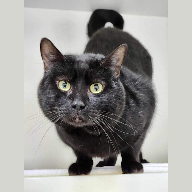 Photo of 🕶Lester 5195🕶