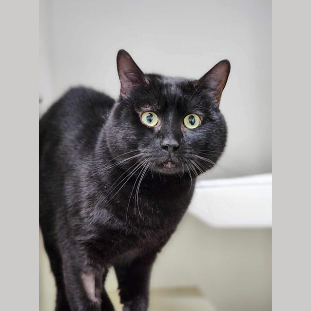 Photo of 🕶Lester 5195🕶