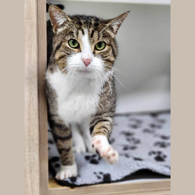 Photo of 🩰 Adalee 5189 🩰