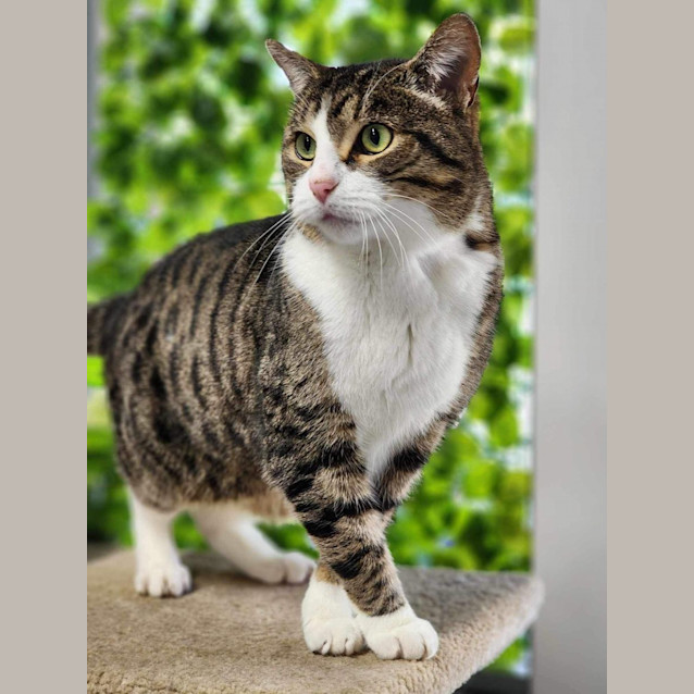 Photo of 🩰 Adalee 5189 🩰