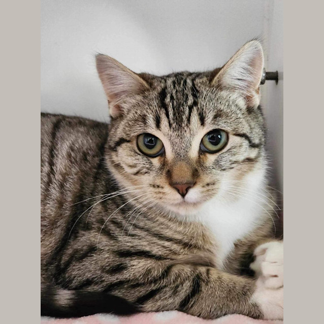 Photo of 🥙 Lentil 5107 🥙