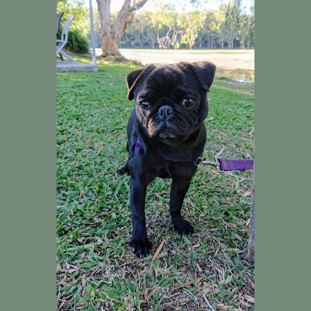 Photo of Lulu