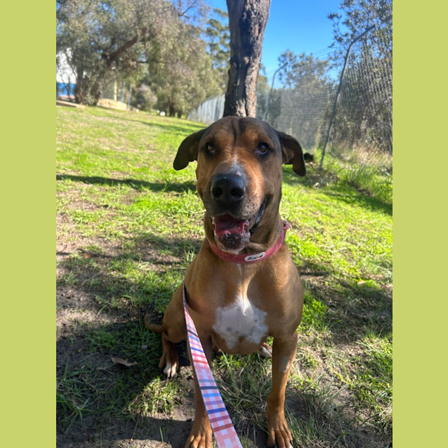 Photo of Jethro