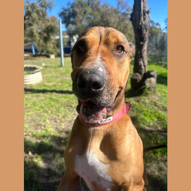 Photo of Jethro