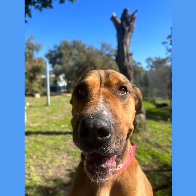 Photo of Jethro