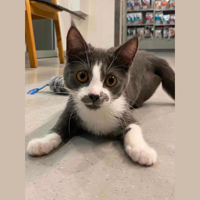 Photo of Keats   Meet Me At Vets On Parker Templestowe