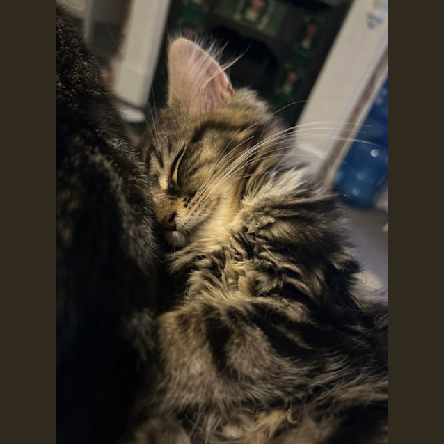 Photo of Lucy   Located In Surrey Hills