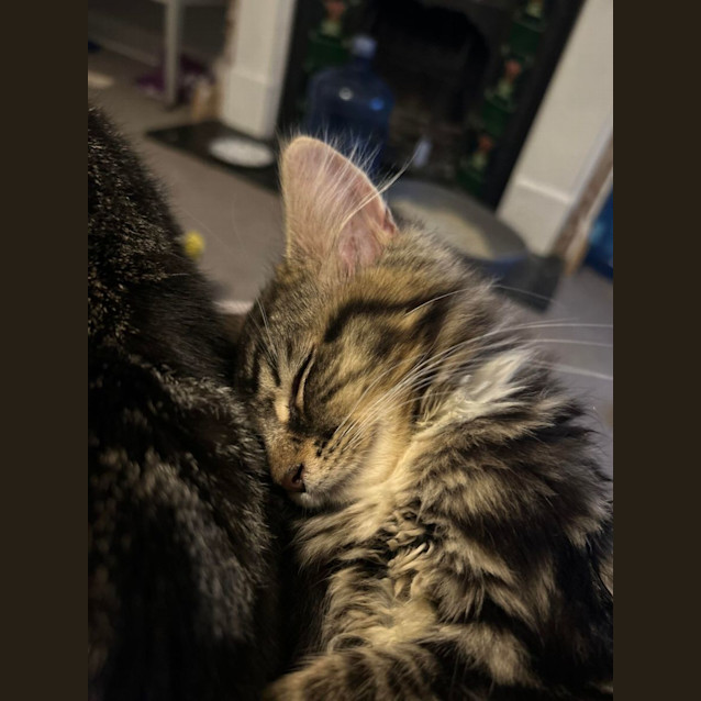 Photo of Lucy   Located In Surrey Hills