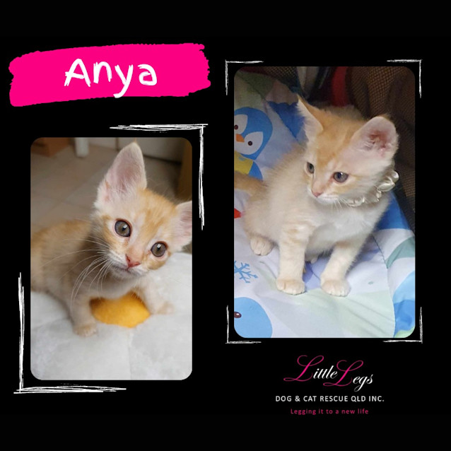 Photo of Anya