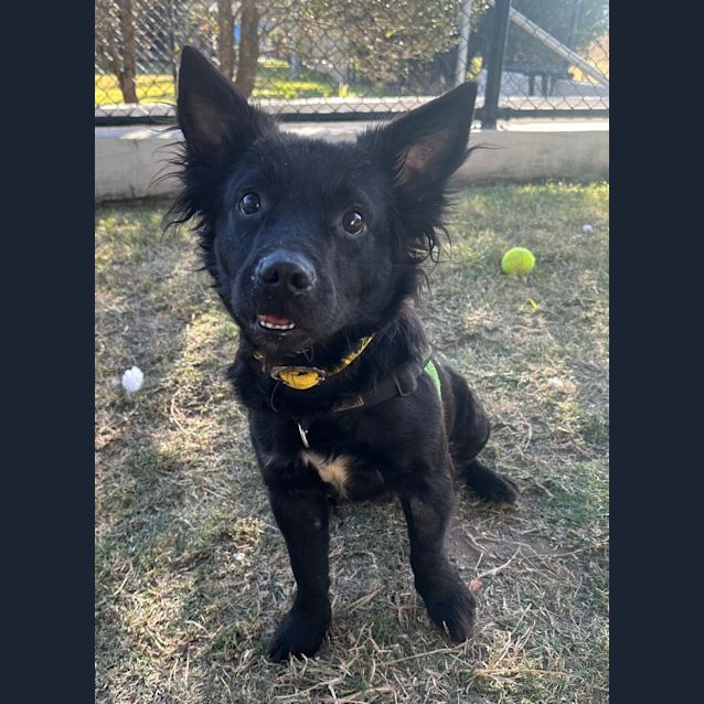 Photo of Keno