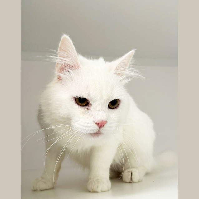 Photo of Magnus Sta012523