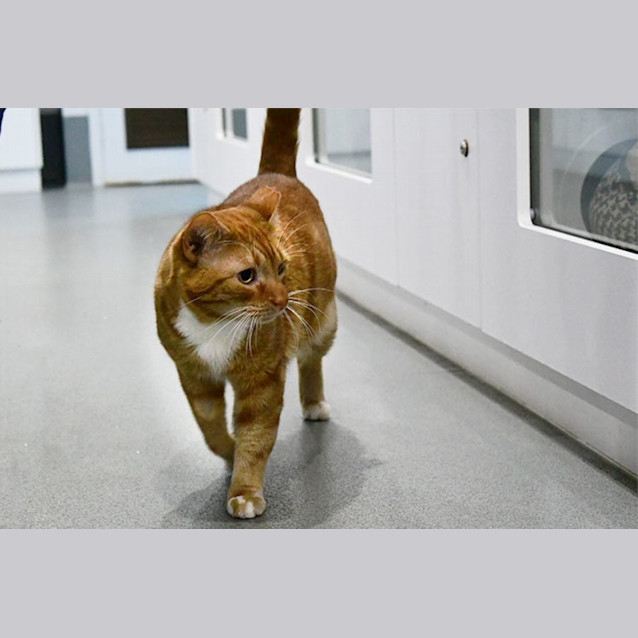 Photo of Catrick Swayze