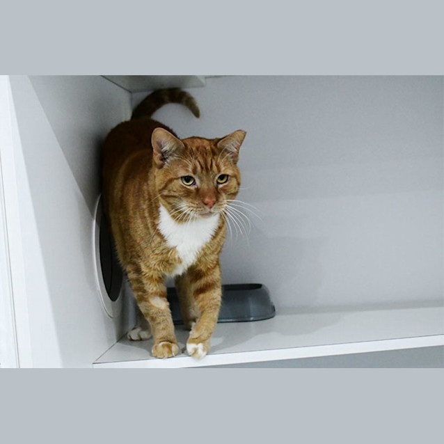 Photo of Catrick Swayze