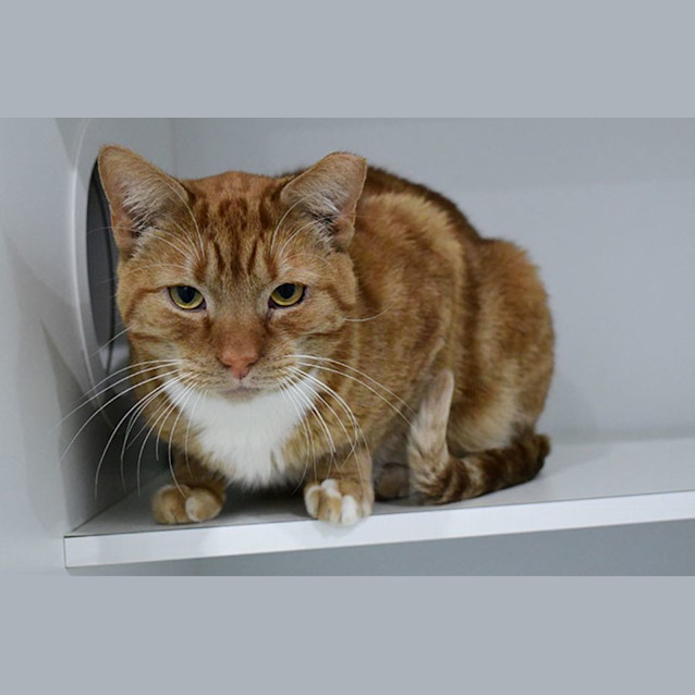 Photo of Catrick Swayze