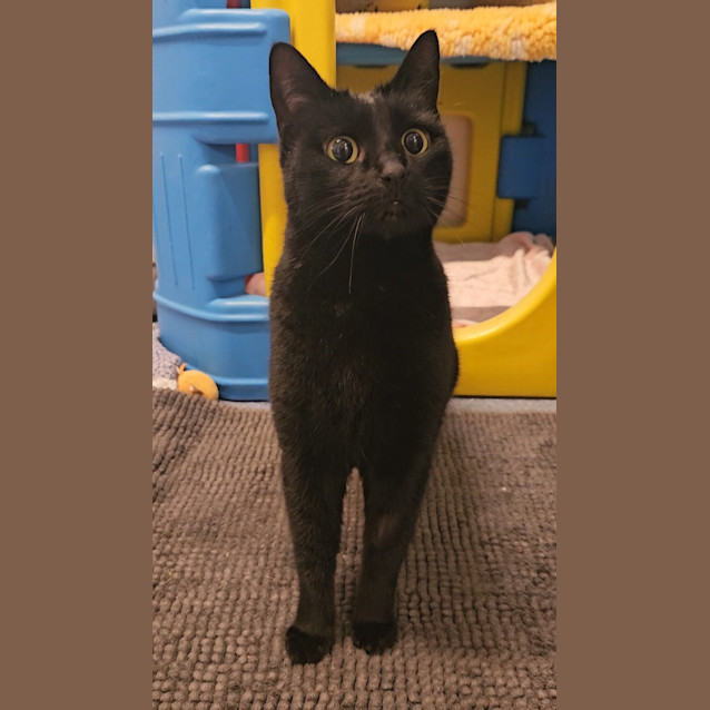 Photo of Klaus