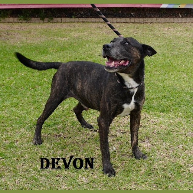 Photo of Saturday Drive