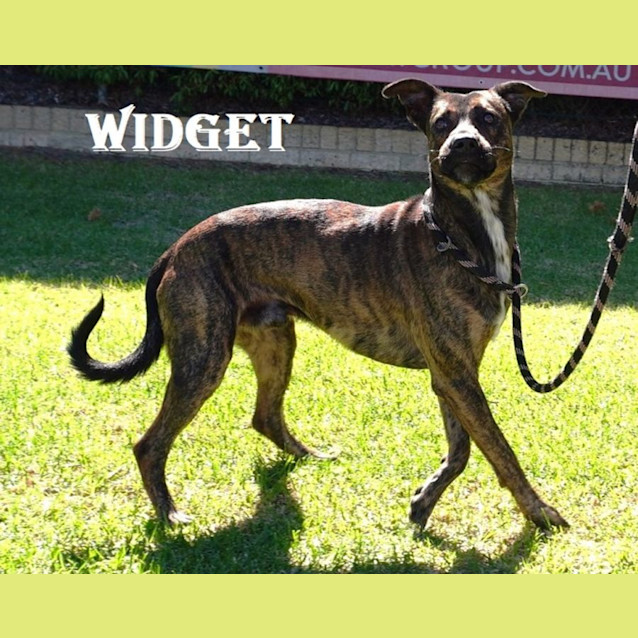 Photo of Saturday Drive