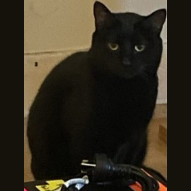 Photo of Murray And Zena 10yo And 2 Yo