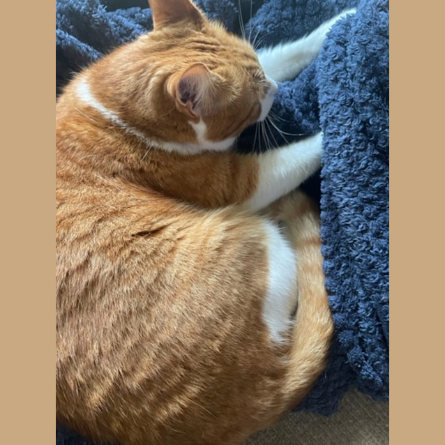 Photo of Murray And Zena 10yo And 2 Yo