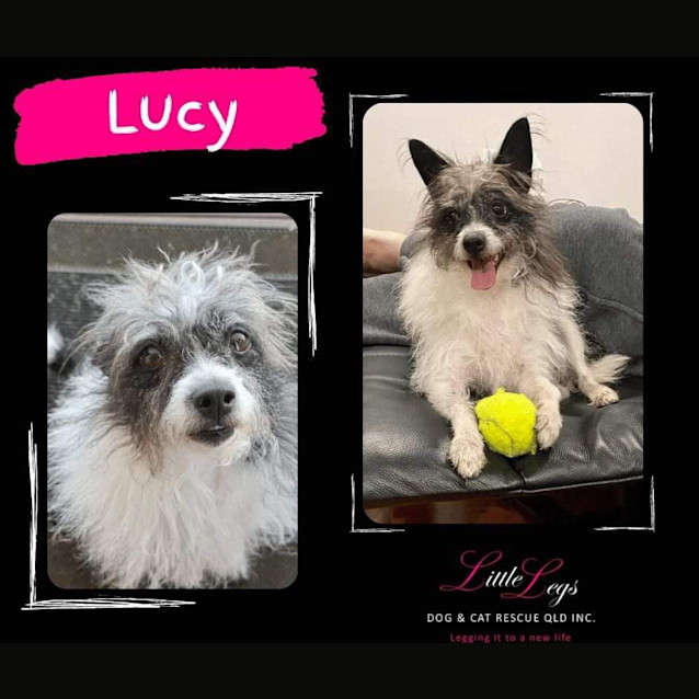 Photo of Lucy