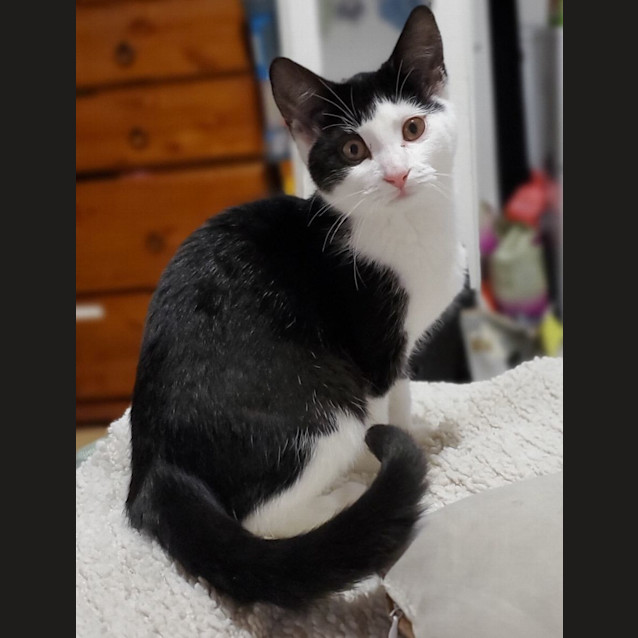 Photo of Ace & Aria 🌸