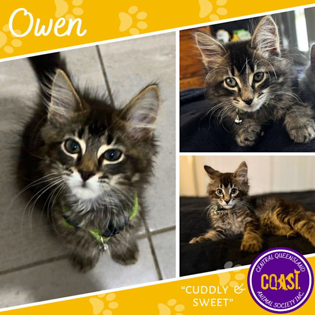 Photo of Owen