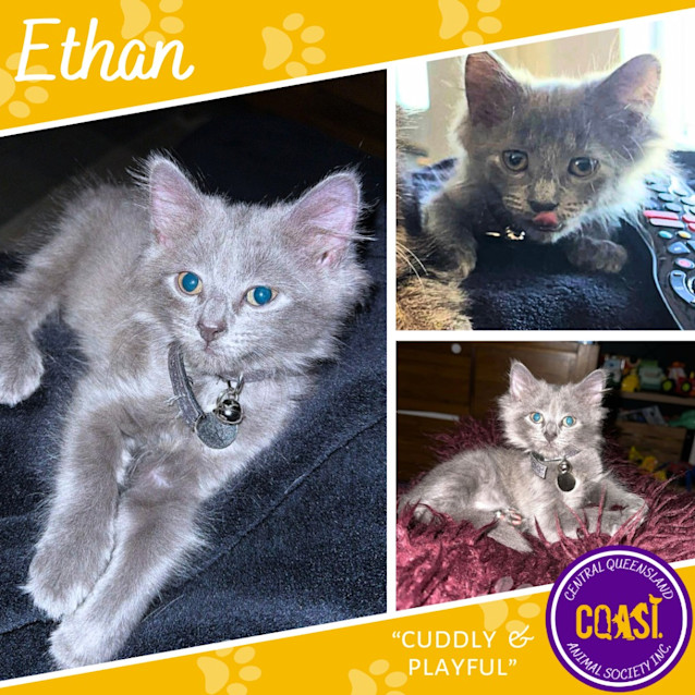 Photo of Ethan