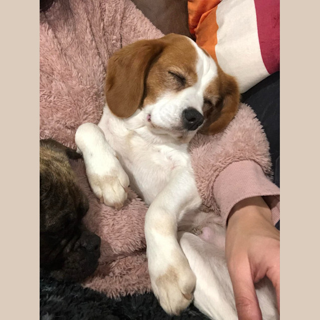 Photo of Ellie