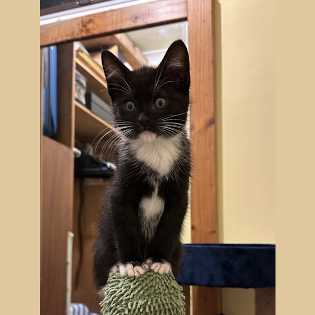 Photo of Bobby