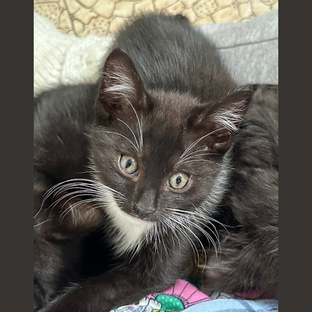 Photo of Bobby