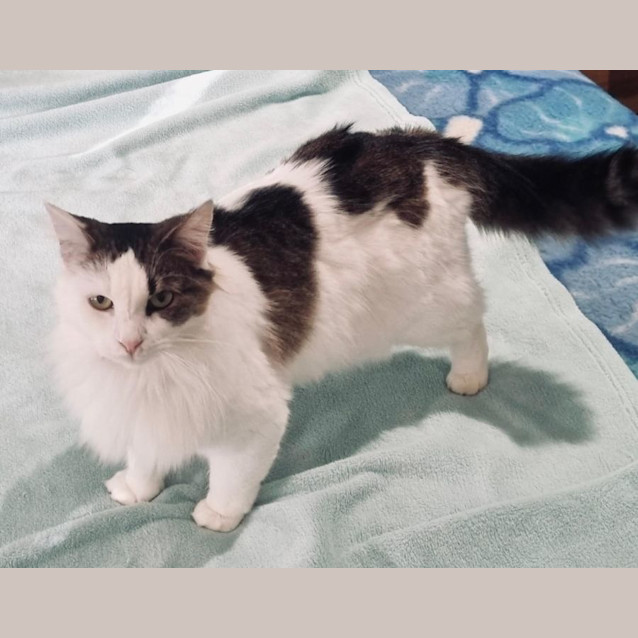 Photo of Molly