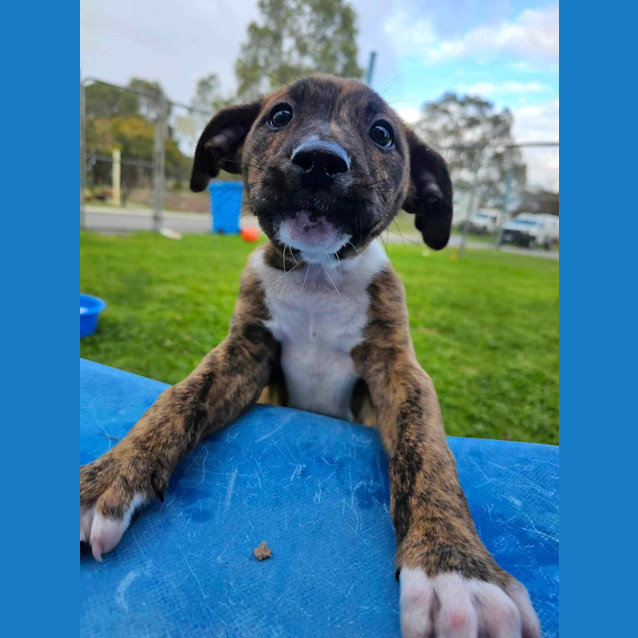 Photo of Spike