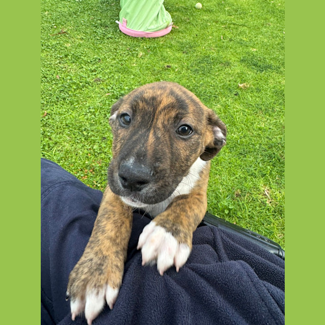 Photo of Spike