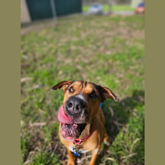 Photo of Jethro