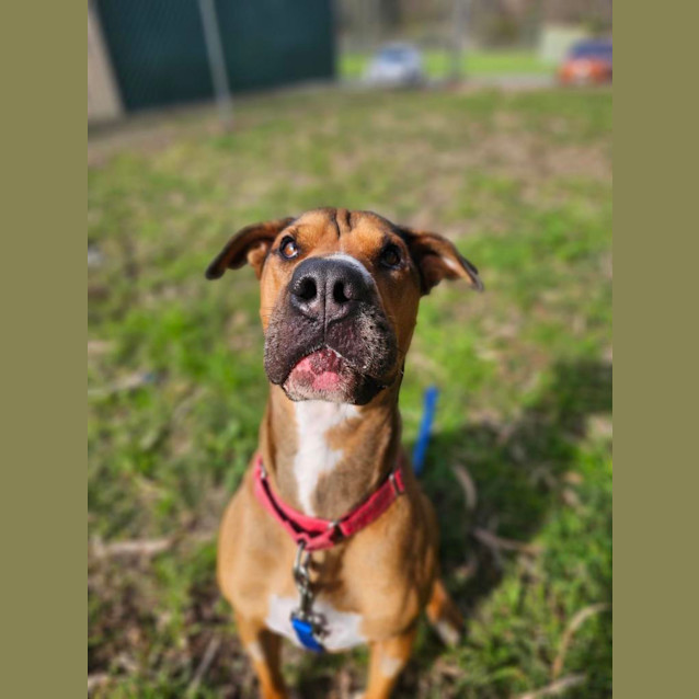 Photo of Jethro