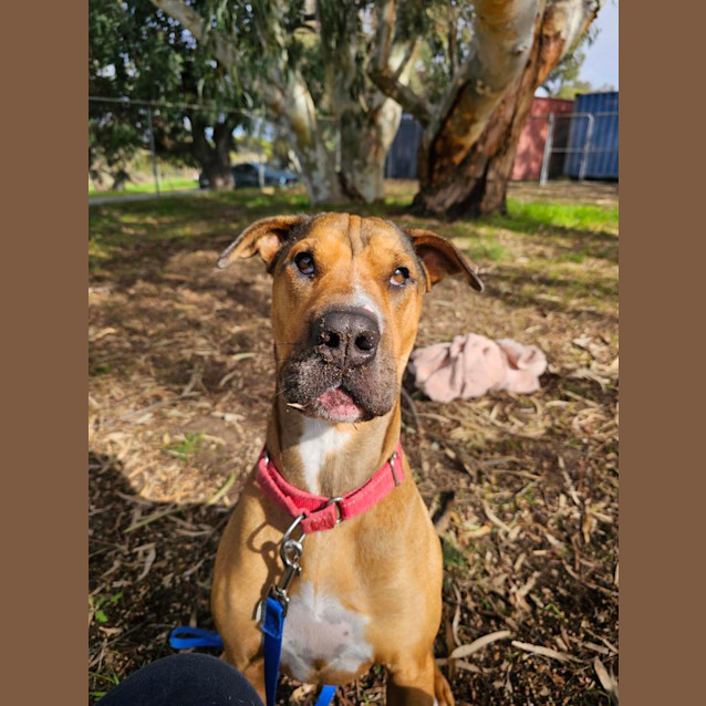 Photo of Jethro