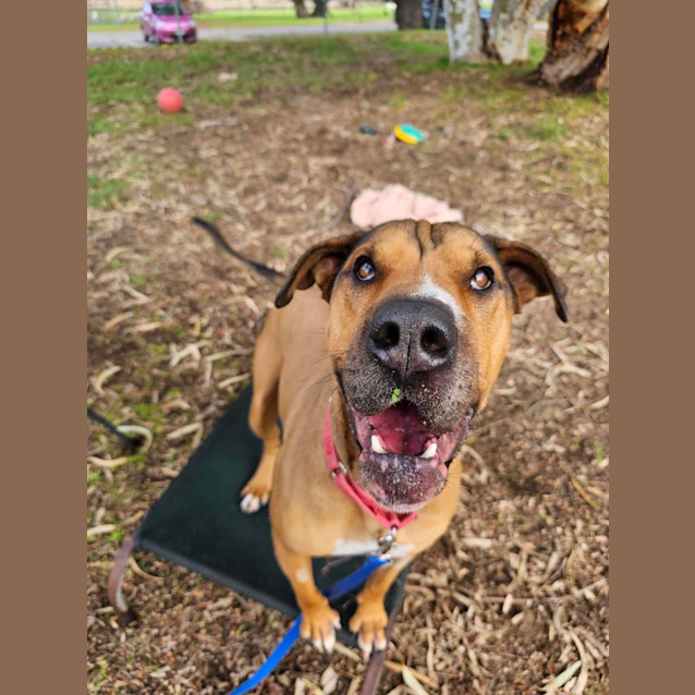 Photo of Jethro